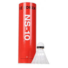 forza ns 10.jpg